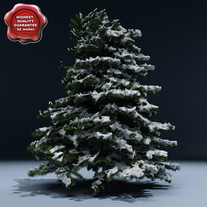 winter tree v6 3d model