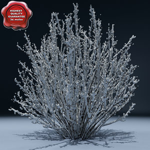 3d model winter tree v7