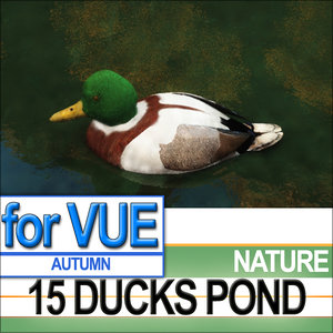 3d scene 15 ducks pond