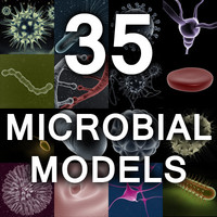Microbiology Model Collection Set 1