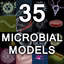 micro microbiology bacteria cell 3d model