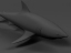 free shark 3d model