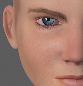 3dsmax male face heads