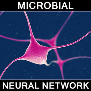 microscopic neural network 3d max