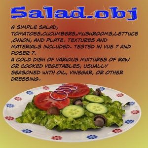 salad tomatoes cucumbers 3d model