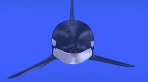 killer whale ma