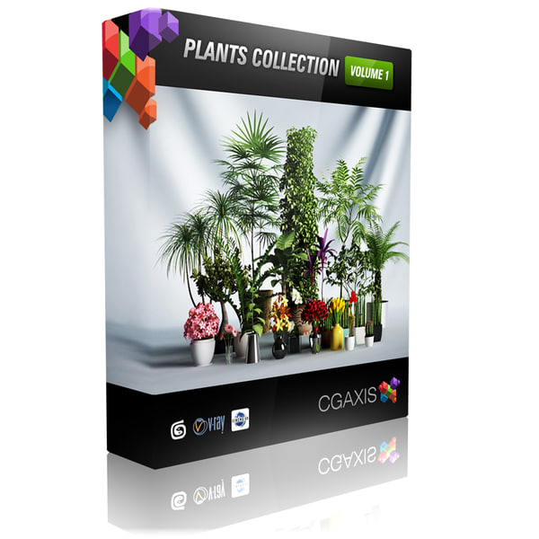 Want Extra Money? Start Succulent Type
