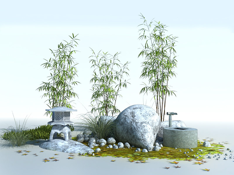 plants japanese max