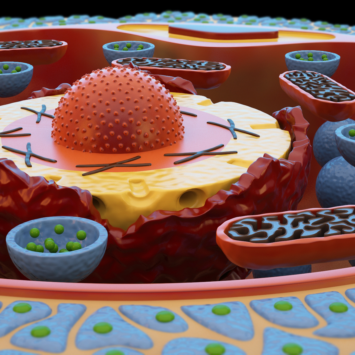 microscopic 3d model