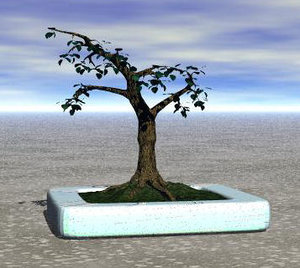 free br4 model simple bonsai