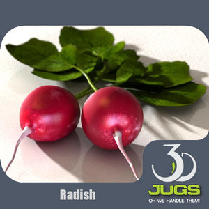 radish vegetables 3d model