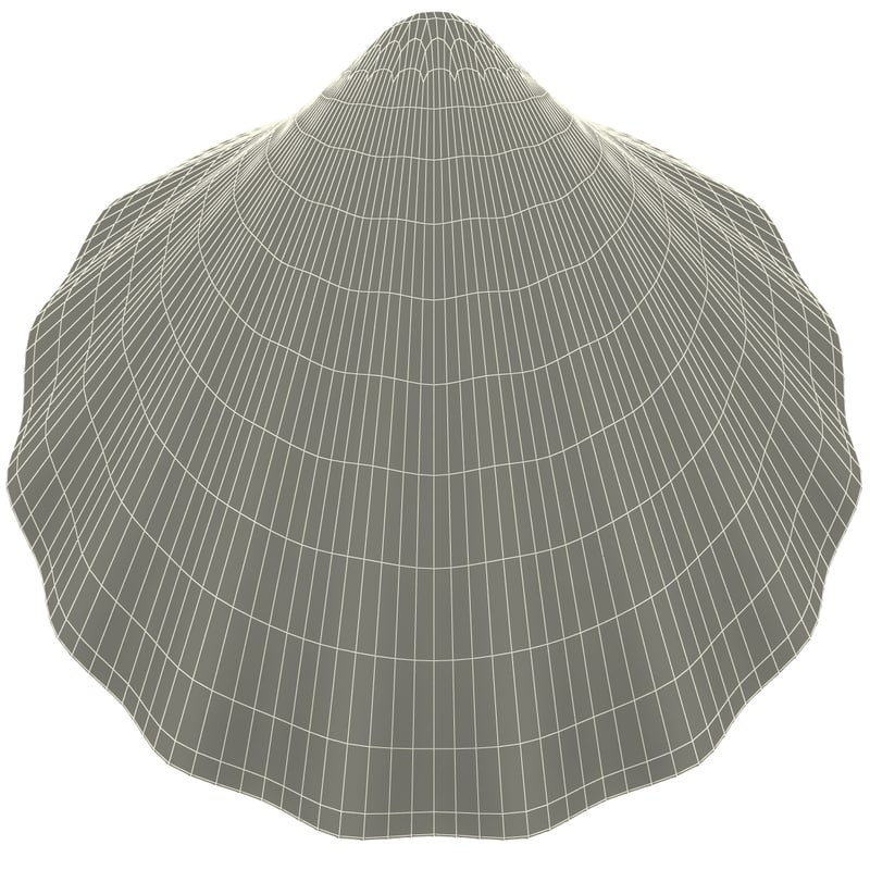 Clam Seashell 3d Model