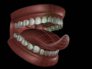 mouth tongue teeth e 3d model