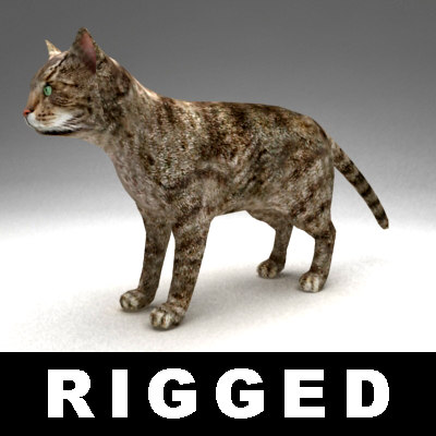  rigged  cat  3d  model 