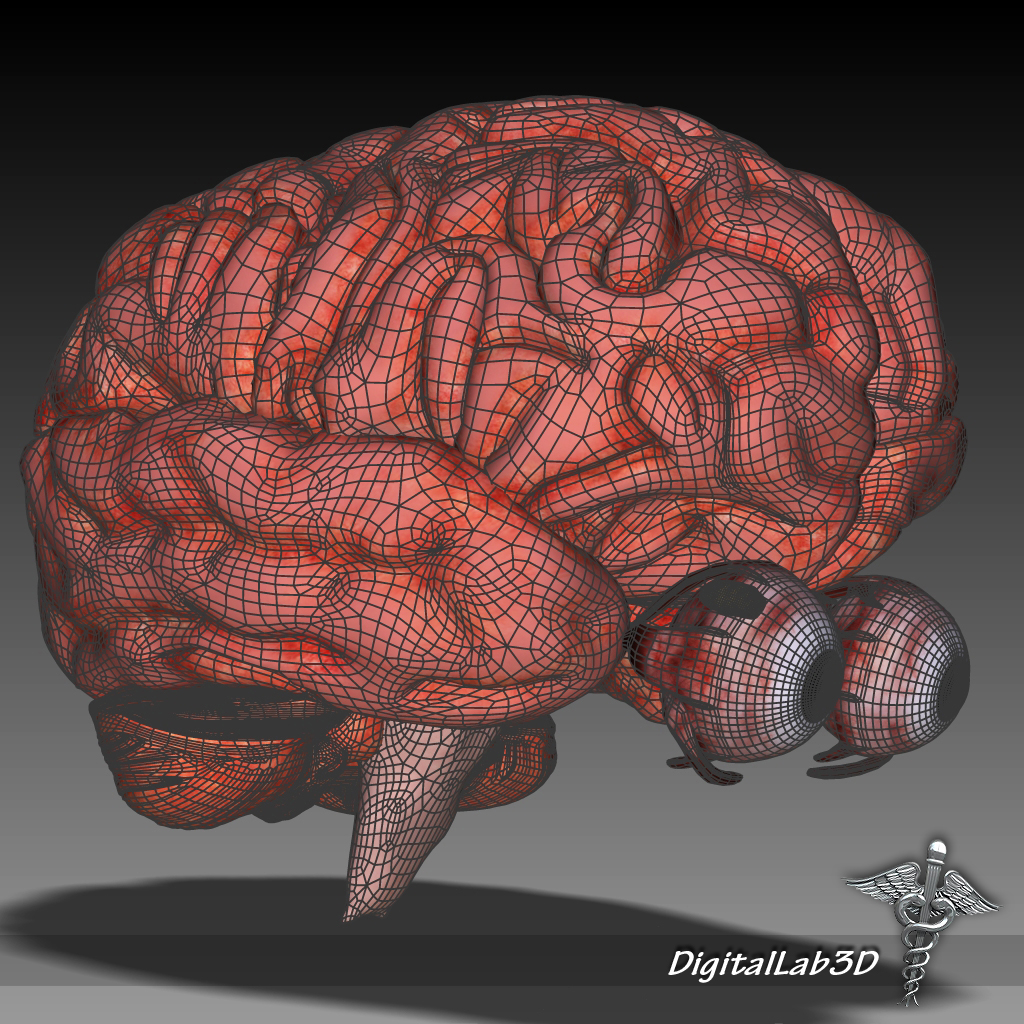 Large brain. Мозг 3d анимация. Very big Brain.