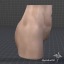 female pelvis anatomy human 3d model
