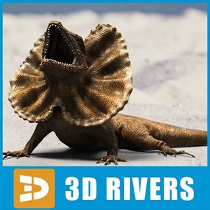 frilled lizard 3d model
