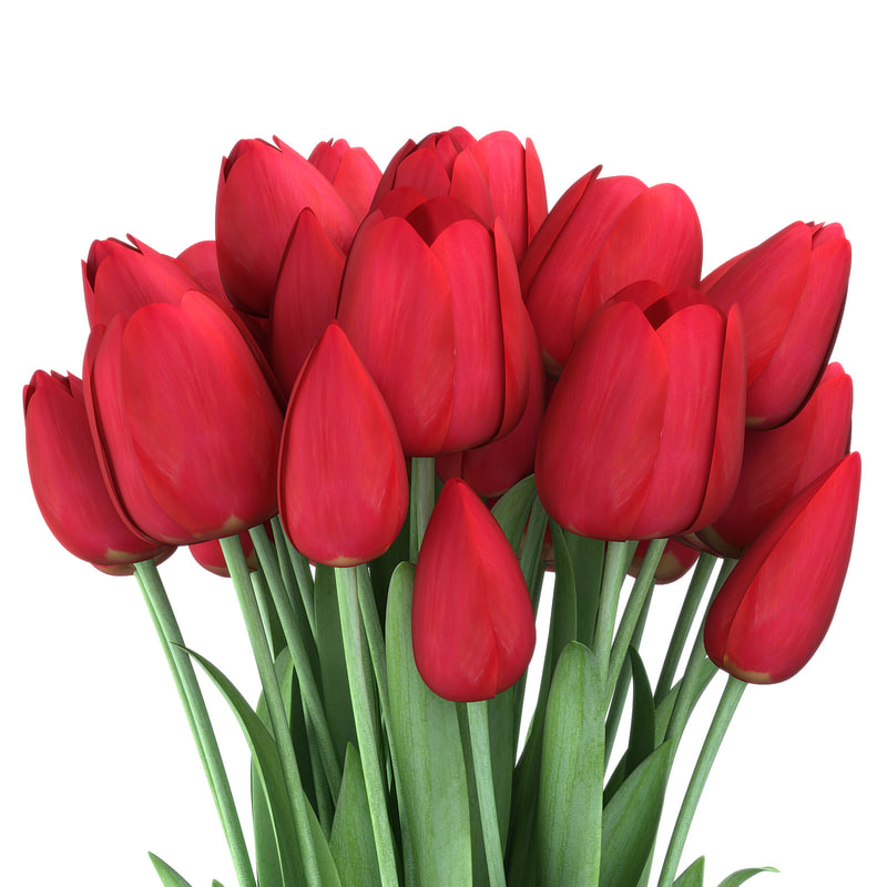  3d  tulips vase piece model 