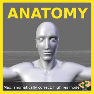 realistic male 3d model