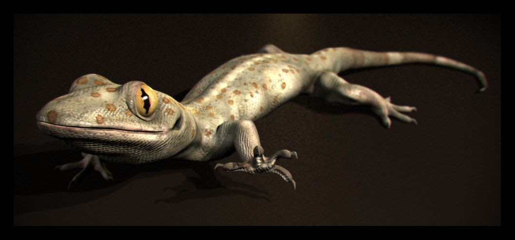 house-lizard-gecko-3d-model