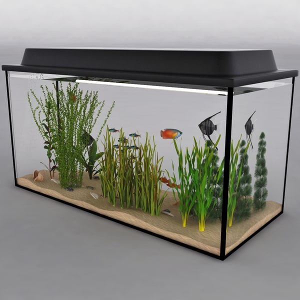 3d aquarium v11 model