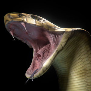 king cobra snake scale 3d model