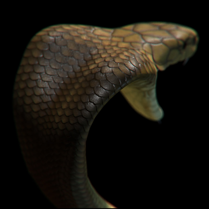 Cobra Snake 3d Model Free Download