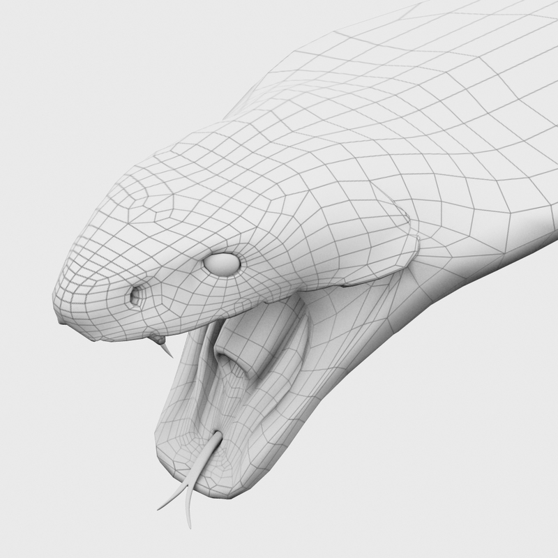 King Cobra Snake Scale 3d Model