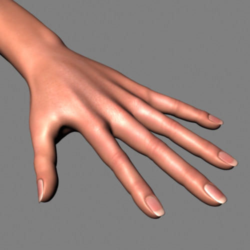 female hand arm 3d model