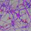neurons animation 3d model