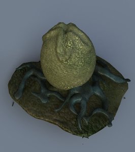 alien egg 3d model