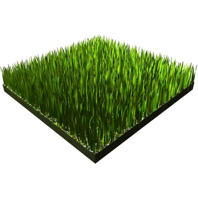 3dsmax grass