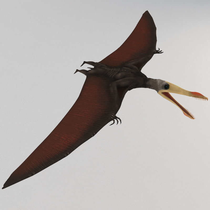 pterosaur walking