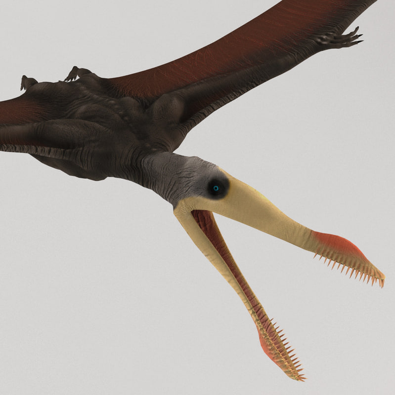 pterosaur a dinosaur