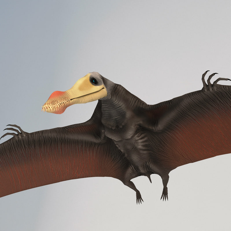pterosaur a dinosaur