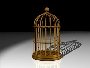 bird cage max