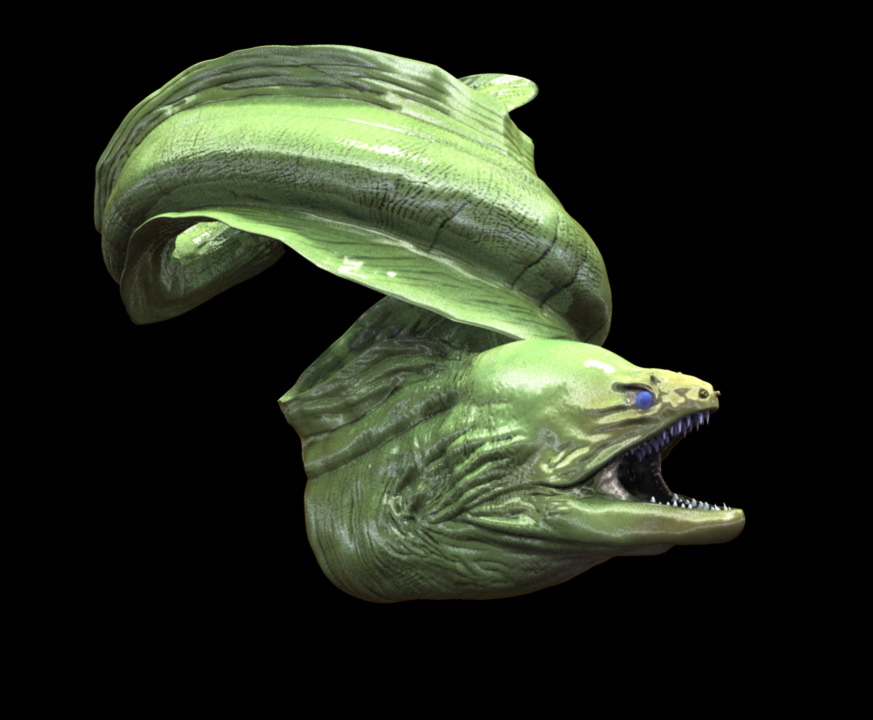 moray eel 3d model