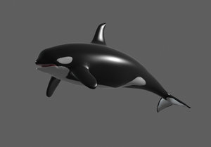 3d model killer whale