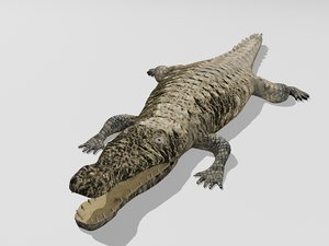 max crocodile croc
