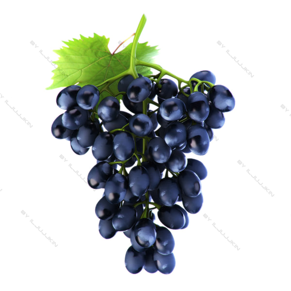 realistic grapes black 3d model