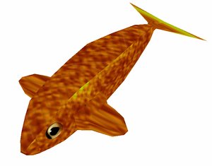 free golden fish 3d model