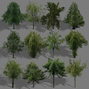 3d model summer trees