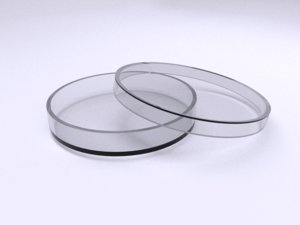 3d model plastic petri dish