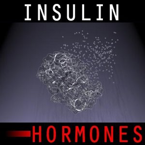 insulin body cells 3d model