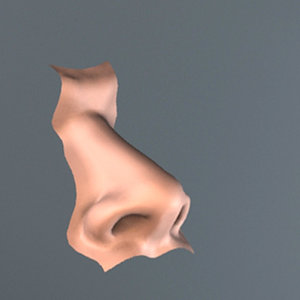 nose human 3d model