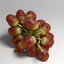 3d red grapes