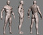 maya realistic male body