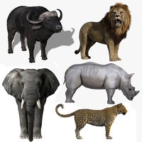 Elephant 3D Models for Download | TurboSquid