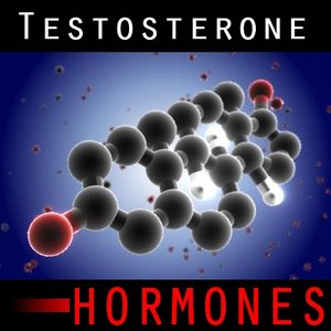3d model testosterone