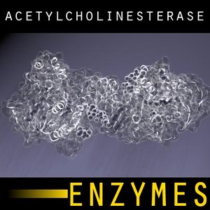 3d enzyme acetylcholinesterase model